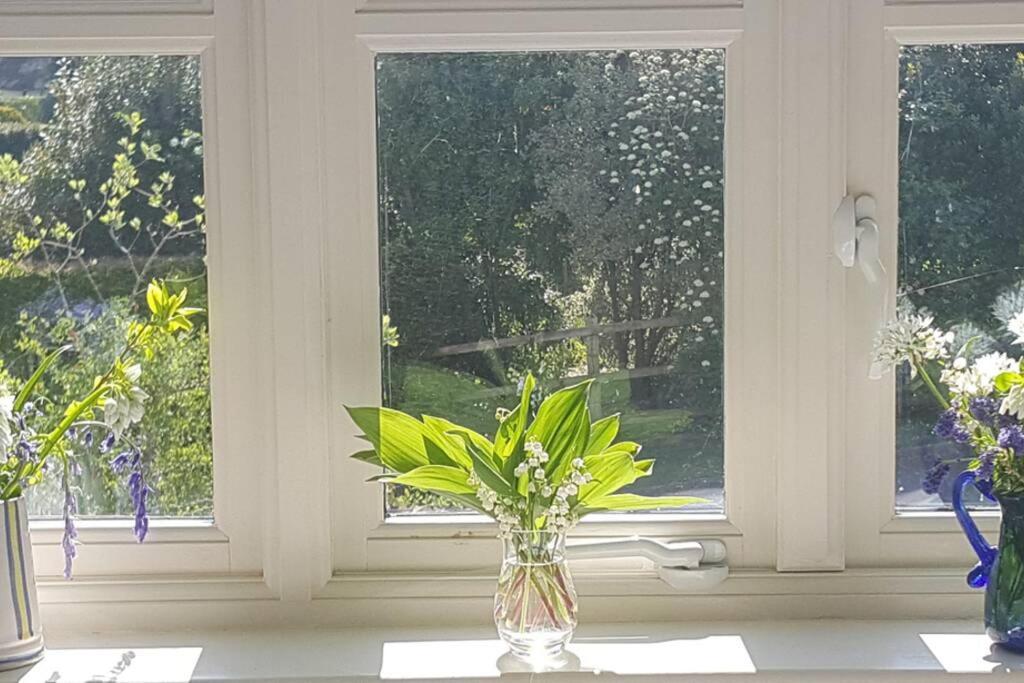 Apartmán Bentley Rise Lyme Regis Exteriér fotografie
