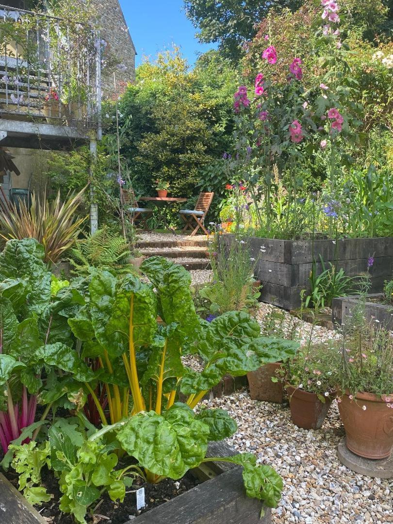 Apartmán Bentley Rise Lyme Regis Exteriér fotografie